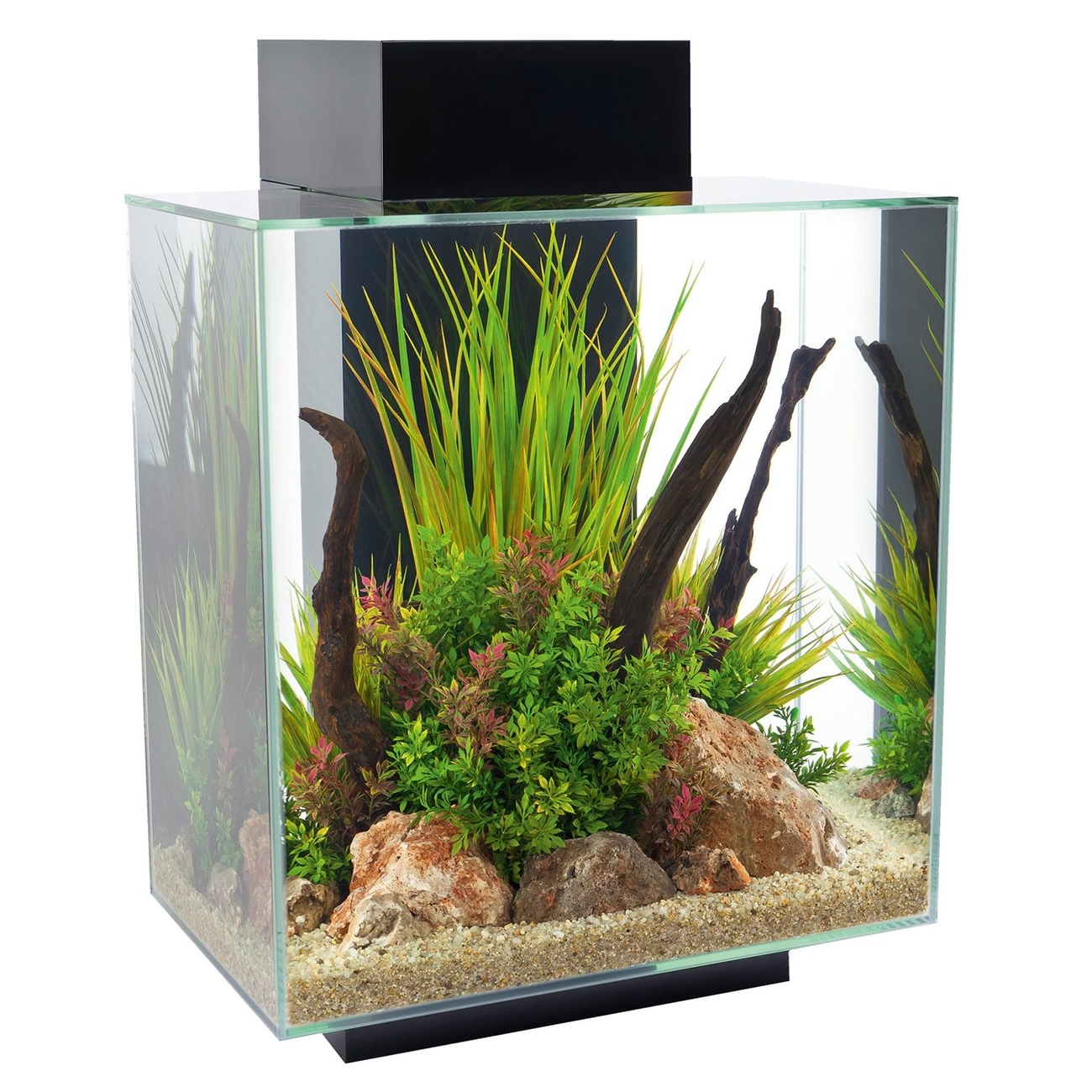 Fluval Edge 2.0 Bild 5