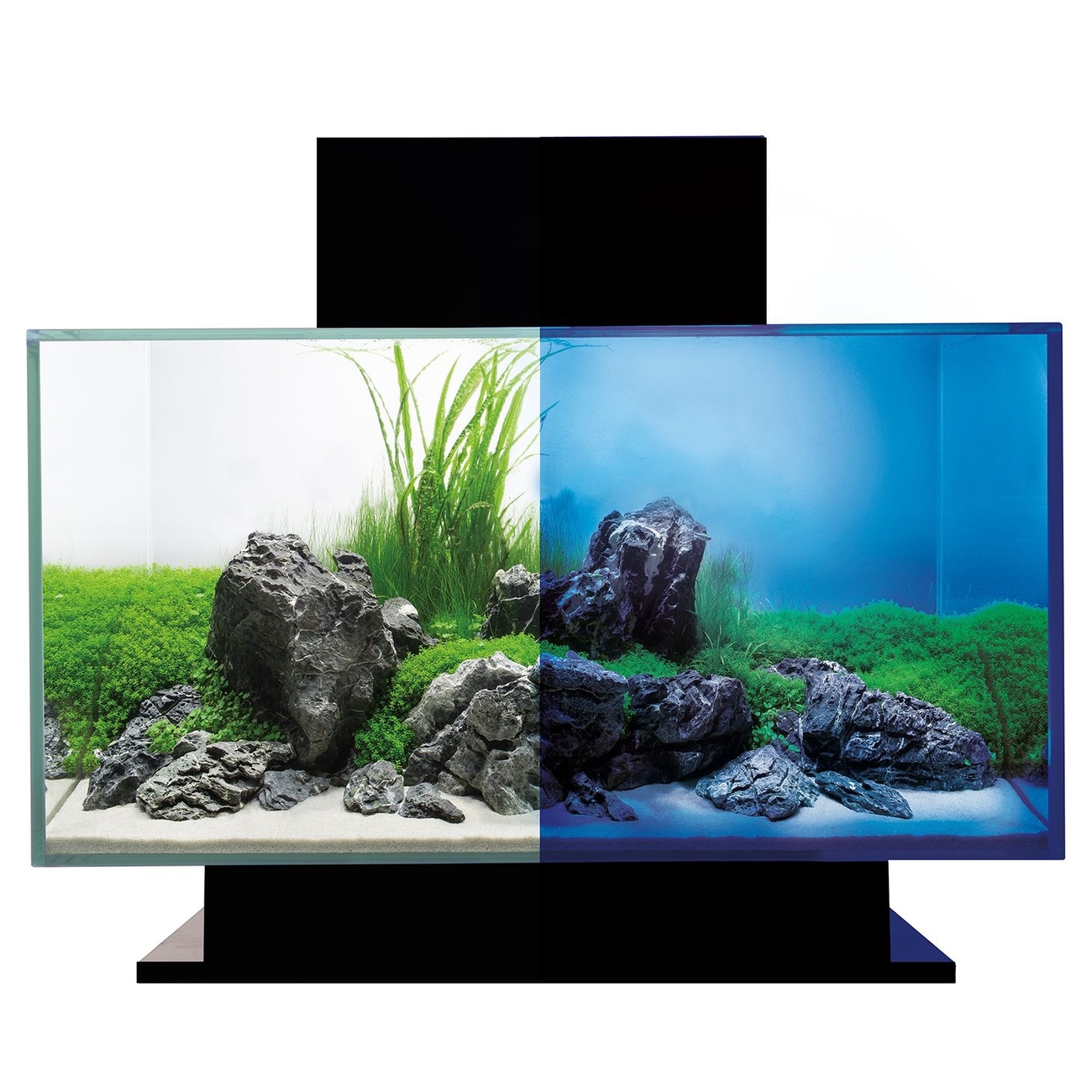 Fluval Edge 2.0 Bild 8