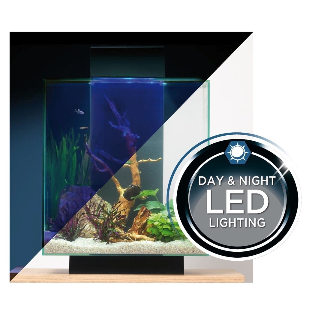 Fluval Edge II Aquarium Bild 5