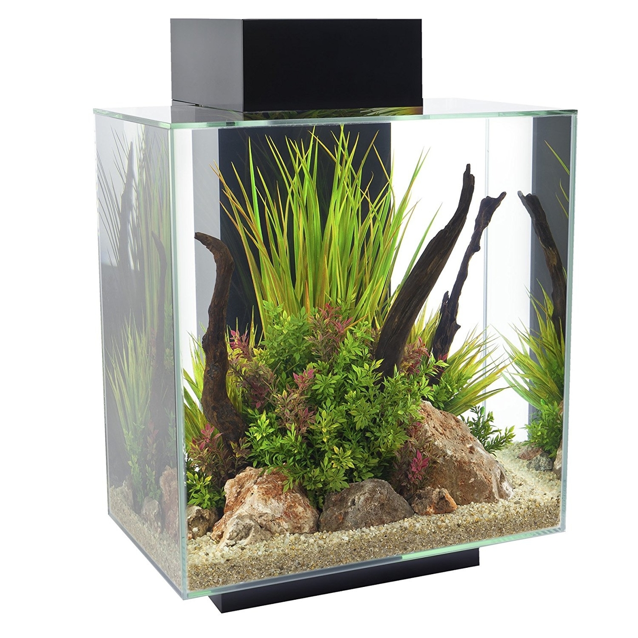Fluval Edge II Aquarium Bild 1