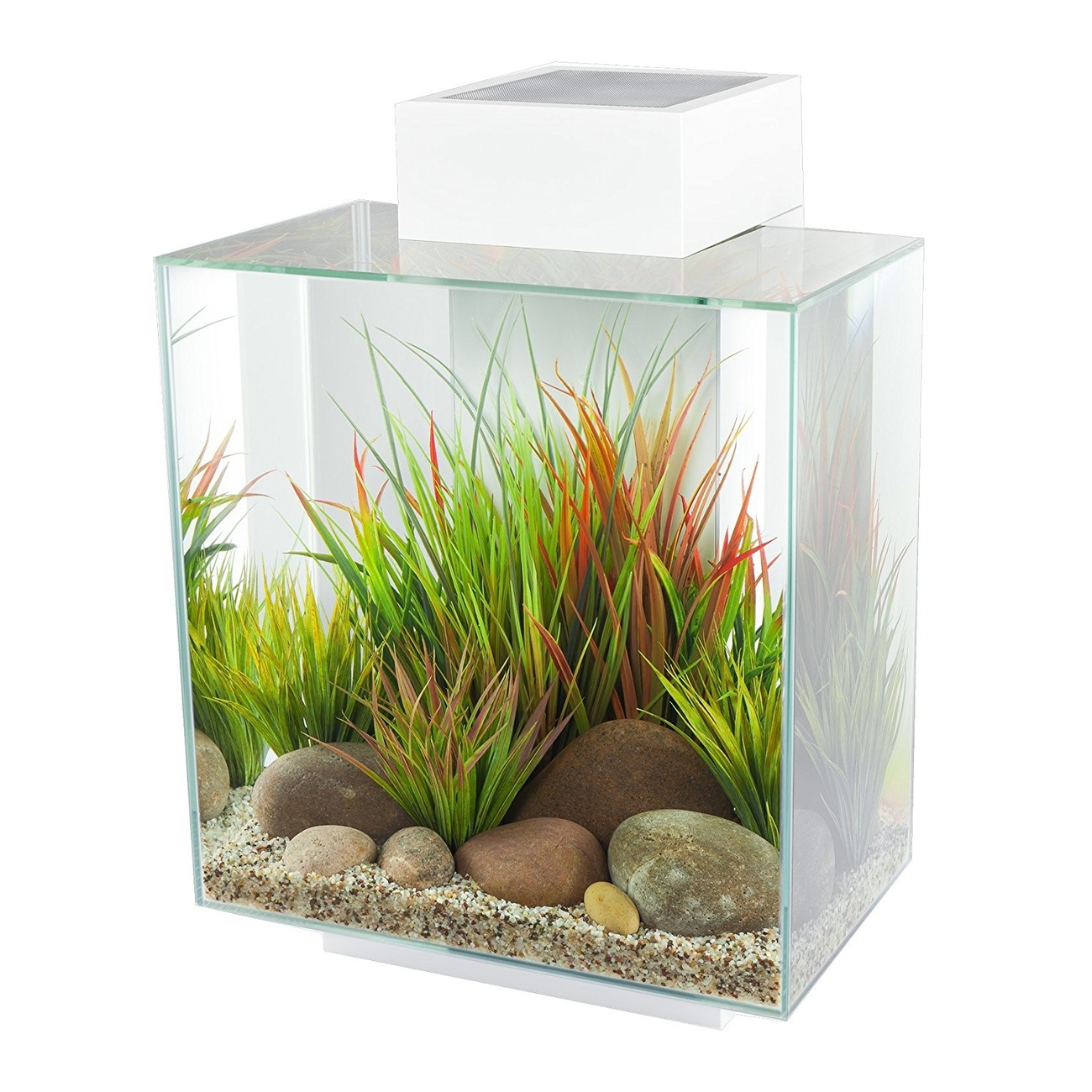 Fluval Edge II Aquarium Bild 4