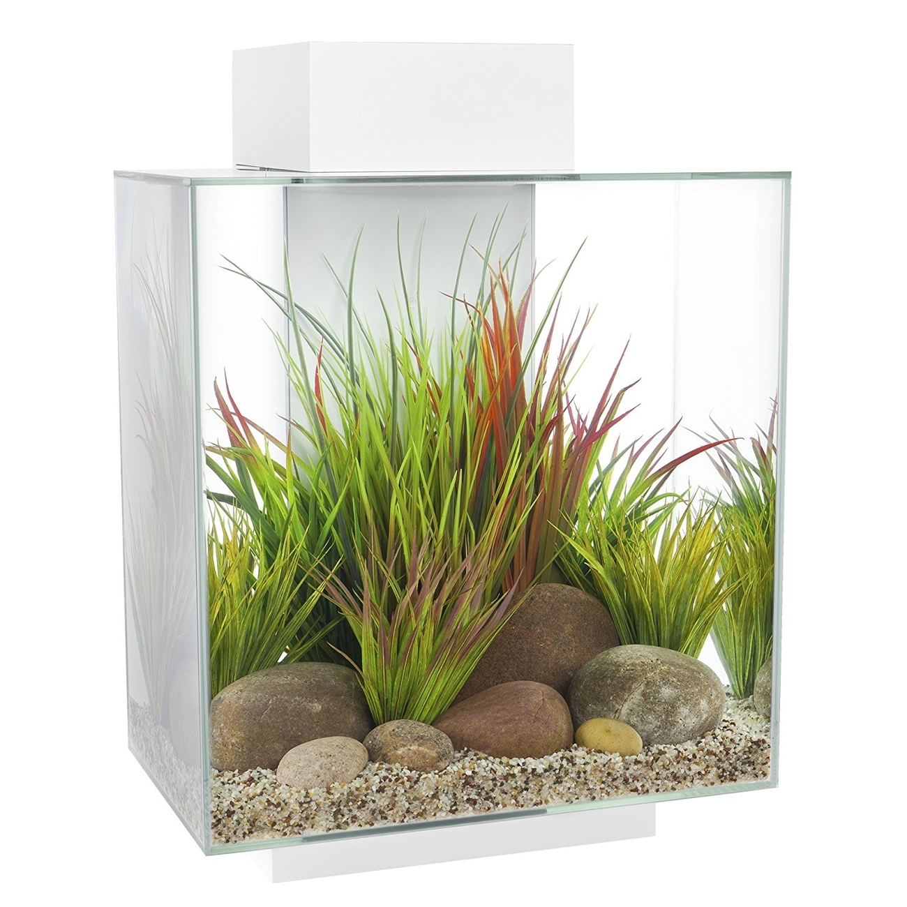 Fluval Edge II Aquarium Bild 3