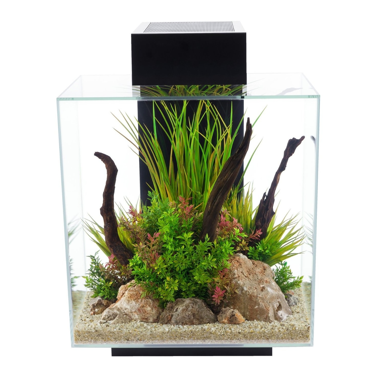 Fluval Edge II Aquarium Bild 2