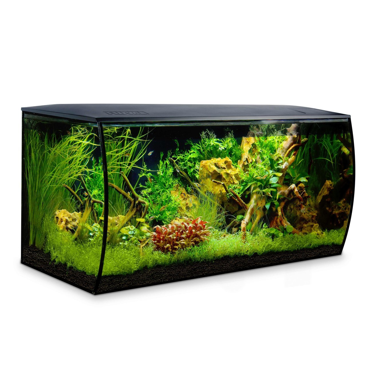 Fluval Flex 123 Liter Aquarium Bild 1