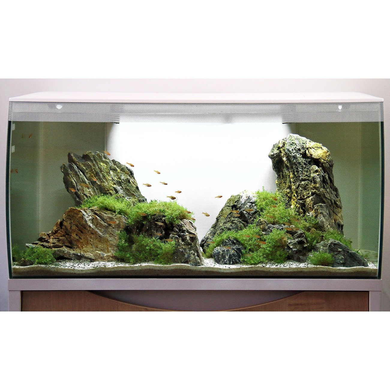 Fluval Flex 123 Liter Aquarium Bild 8