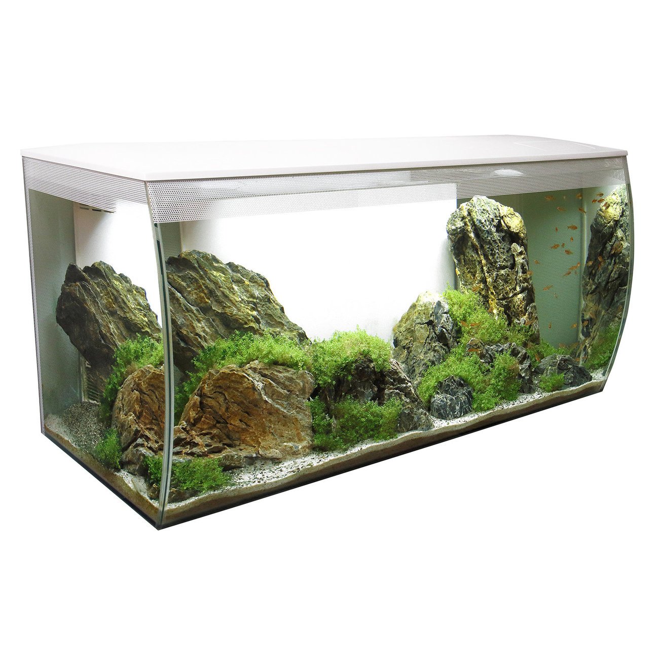 Fluval Flex 123 Liter Aquarium Bild 2