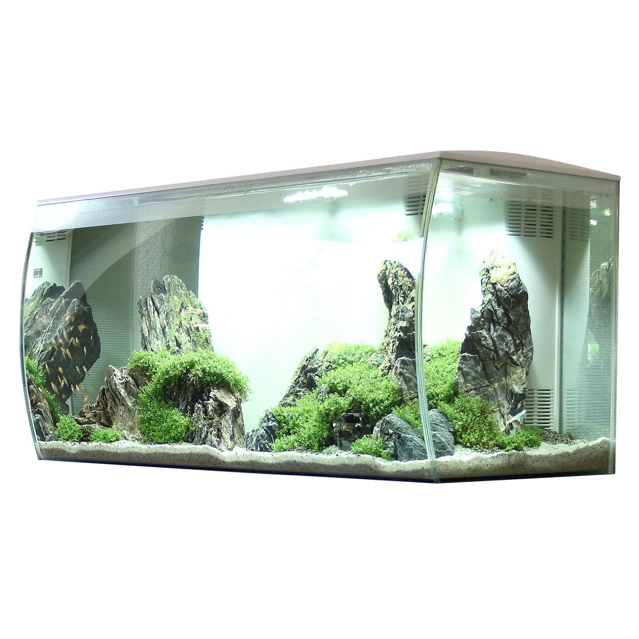 Fluval Flex 123 Liter Aquarium Bild 13