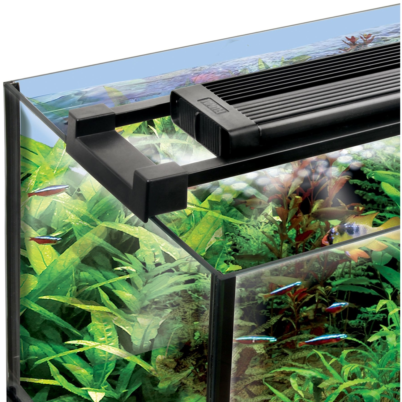 Fluval Fresh & Plant 2.0 Bild 4