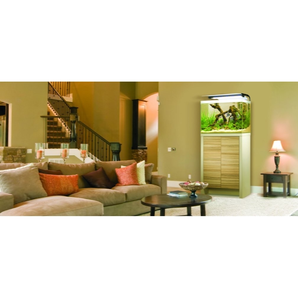 Fluval Fresh Süßwasser Aquarium Kombi Bild 3