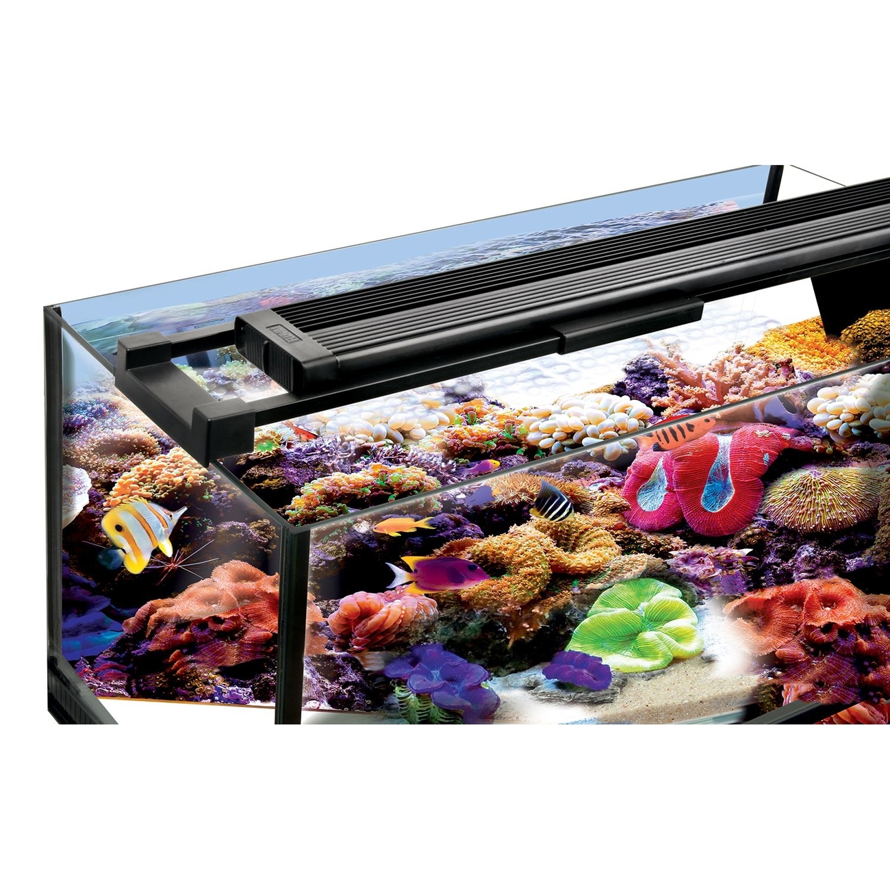 Fluval Marine & Reef 2.0 Bild 4