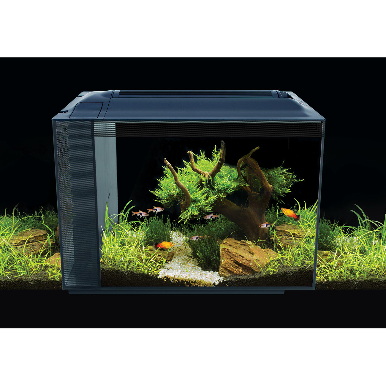 Fluval SPEC XV Aquarium 60 L Bild 2