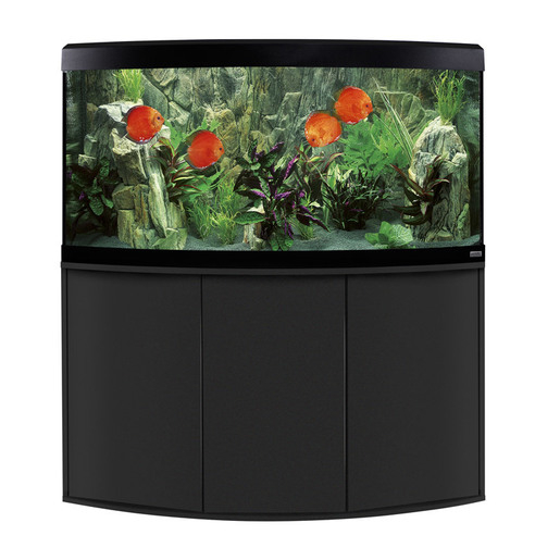 Fluval Süßwasser Aquarium mit Schrank Vicenza Bild 9