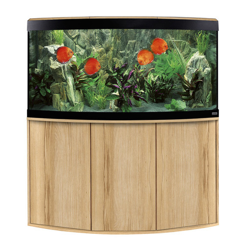 Fluval Süßwasser Aquarium mit Schrank Vicenza Bild 13