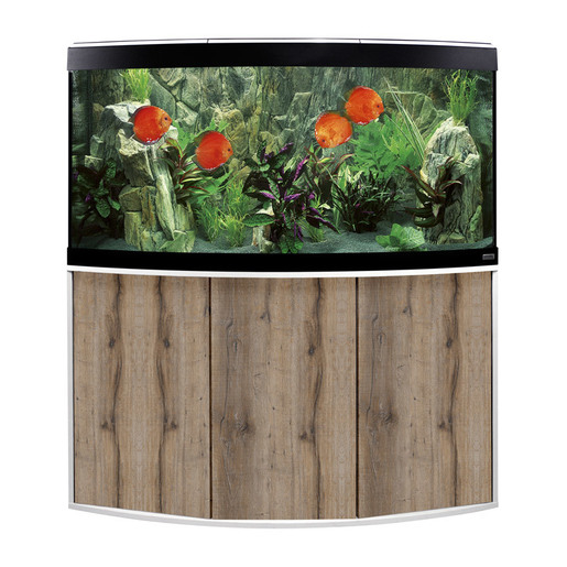 Fluval Süßwasser Aquarium mit Schrank Vicenza Bild 15