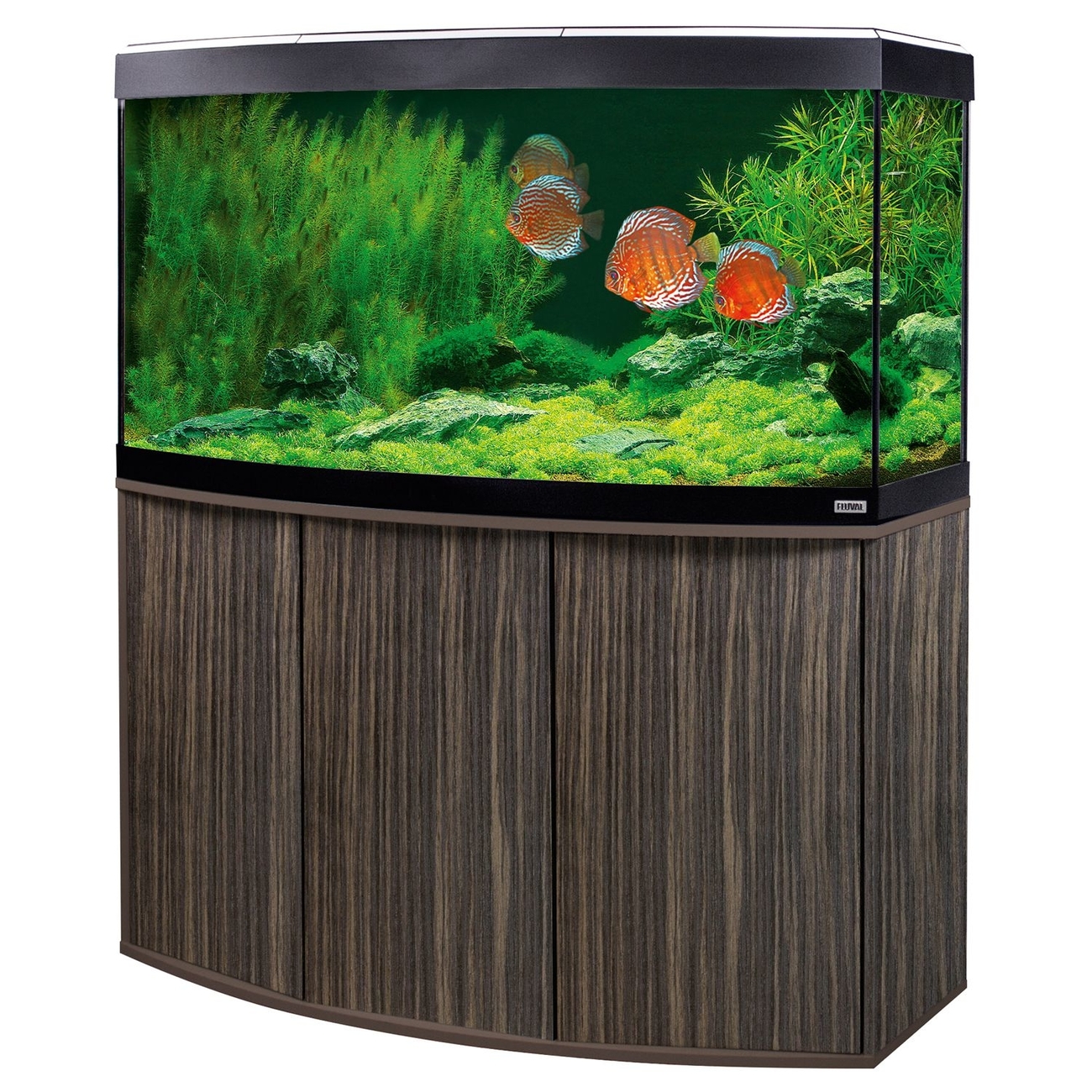 Fluval Süßwasser Aquarium mit Schrank Vicenza Bild 18