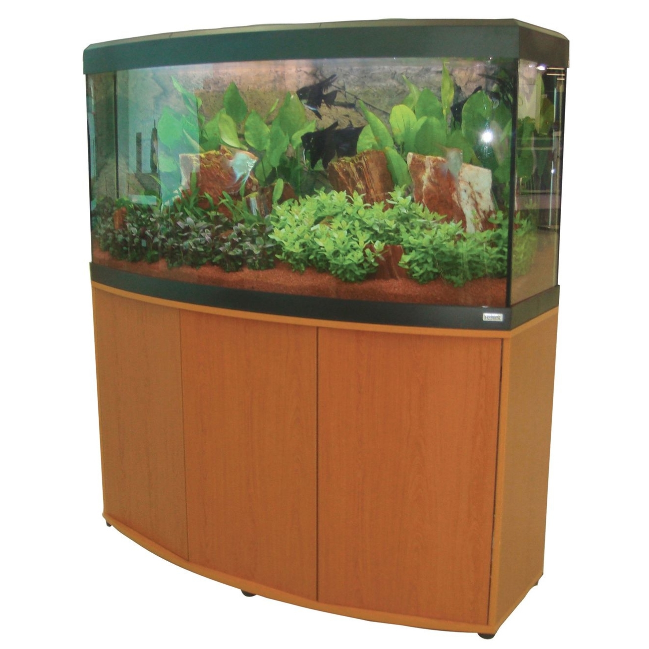 Fluval Süßwasser Aquarium mit Schrank Vicenza Bild 19
