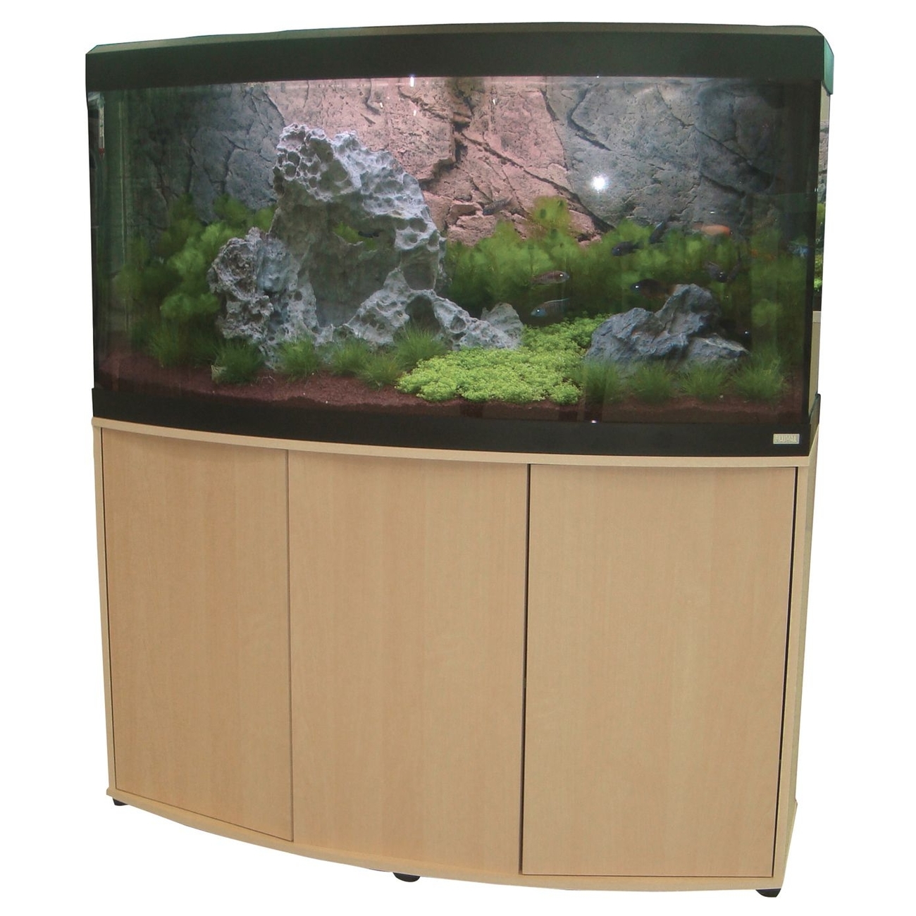 Fluval Süßwasser Aquarium mit Schrank Vicenza Bild 20
