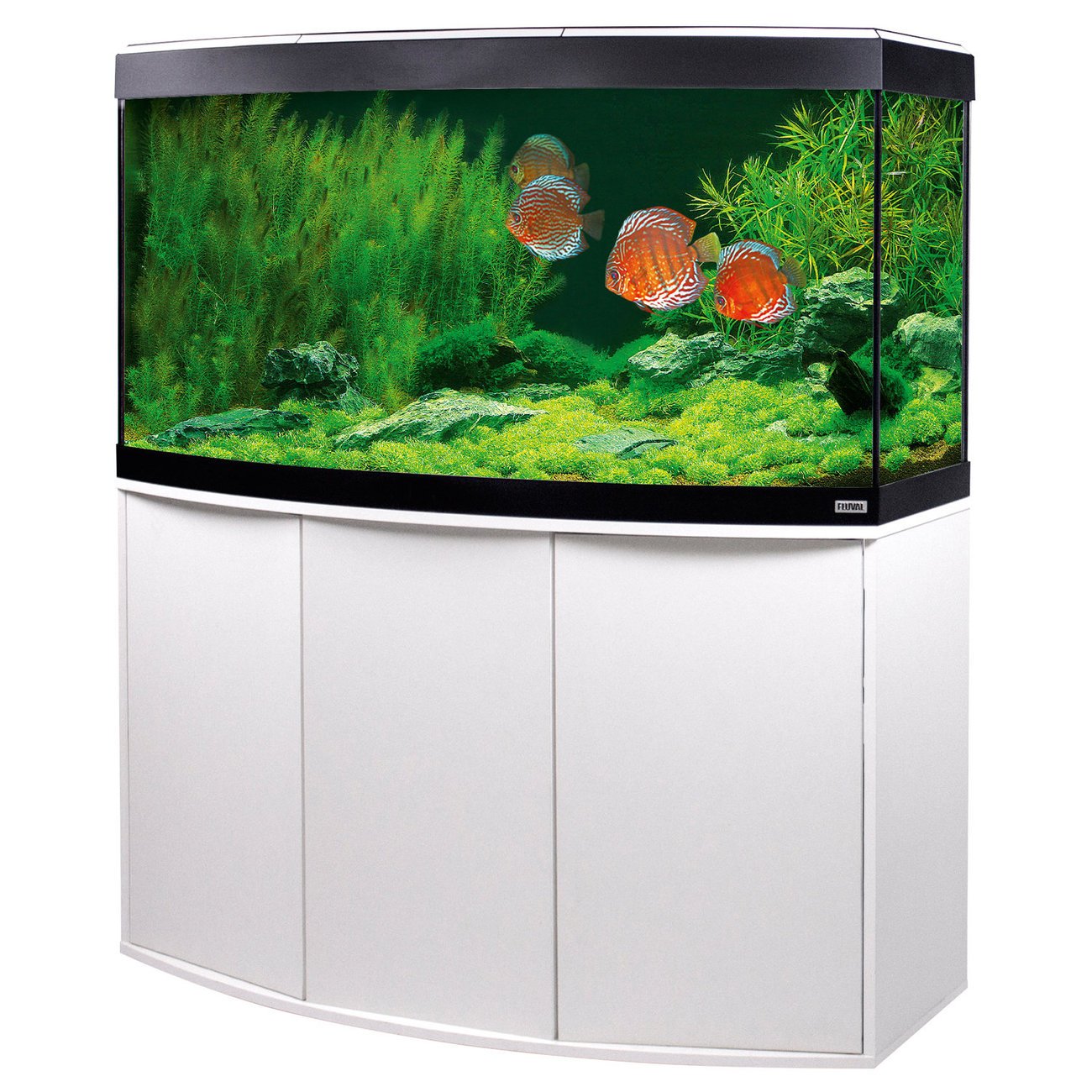 Vicenza Aquarienkombination Bild 11