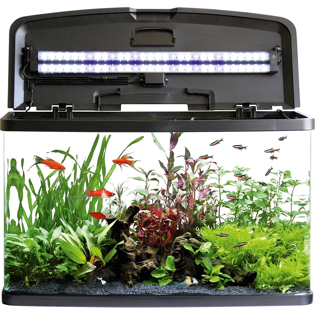 Fluval Vue Aquarienset Bild 3