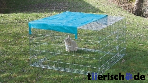 Freigehege mit Ausbruchsperre klein Bild 2