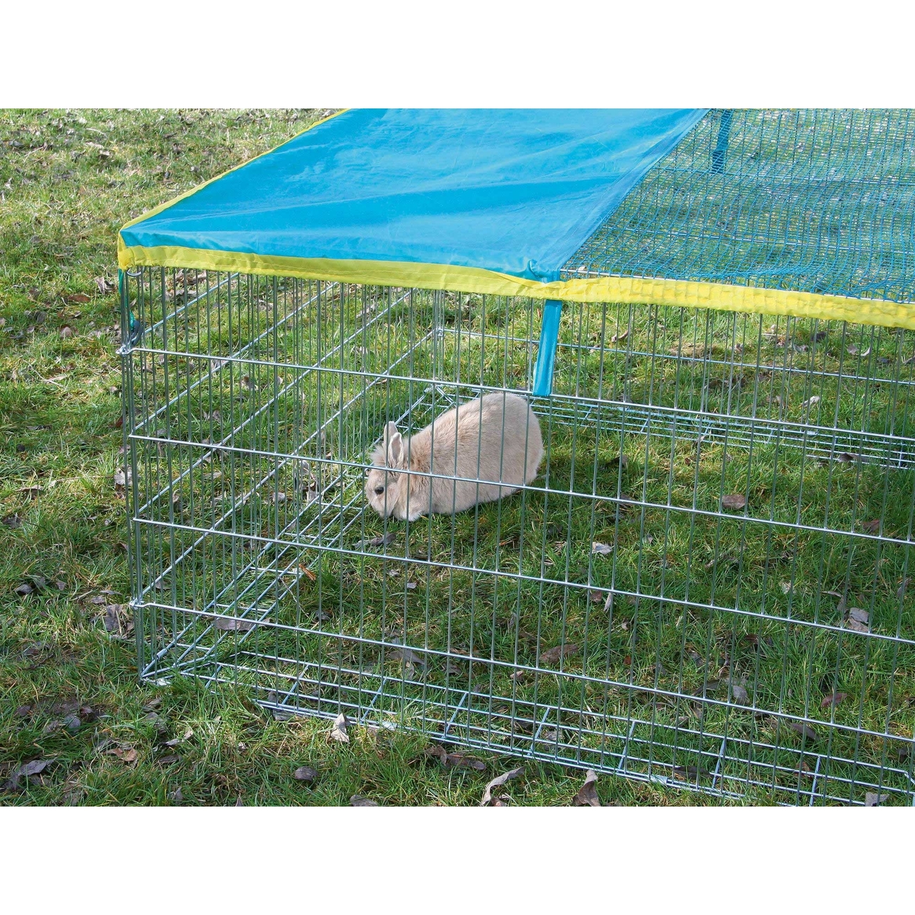 Freigehege mit Ausbruchsperre und Abdecknetz Bild 3