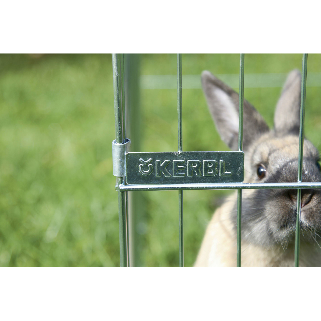 Freilaufgehege zusammenklappbar Easy Bild 2