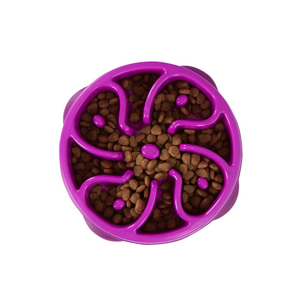 Fun Feeder Slo-Bowl Anti Schling Hundenapf Bild 5