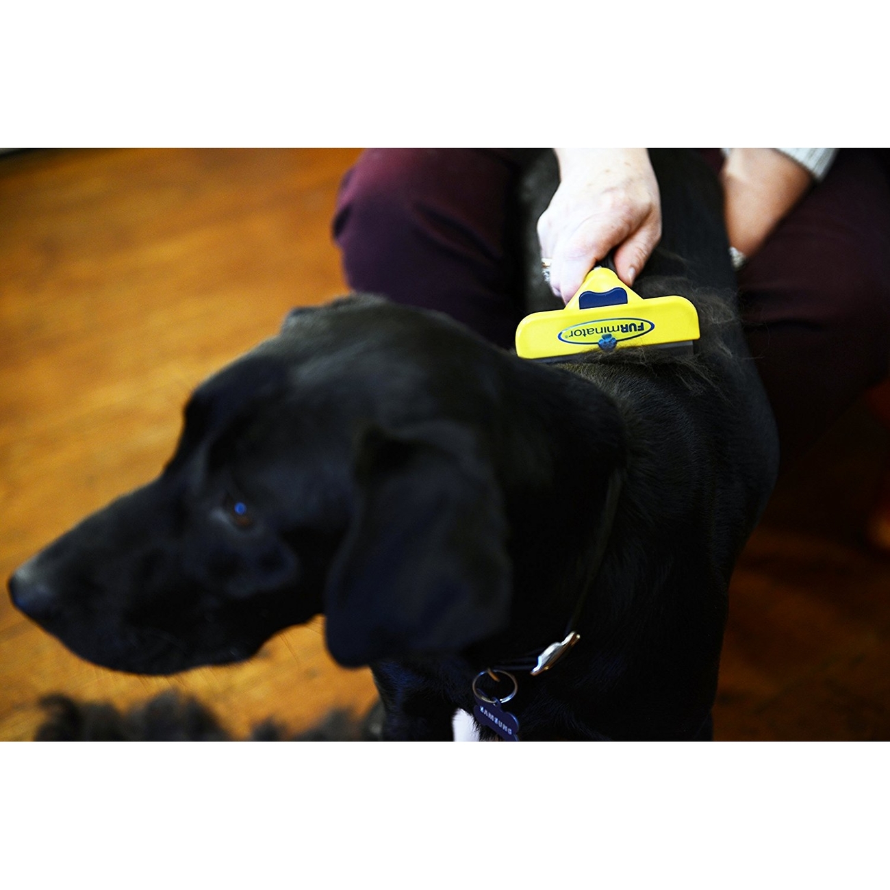 FURminator Hund Kurzhaar Bild 13