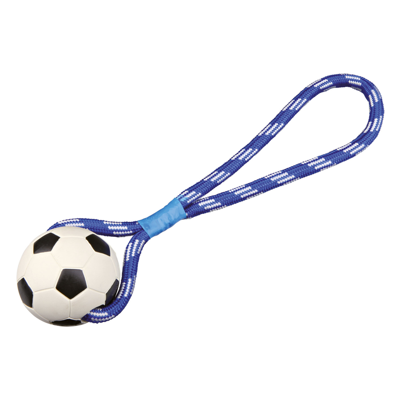 Fußball am Seil für Hunde Bild 3