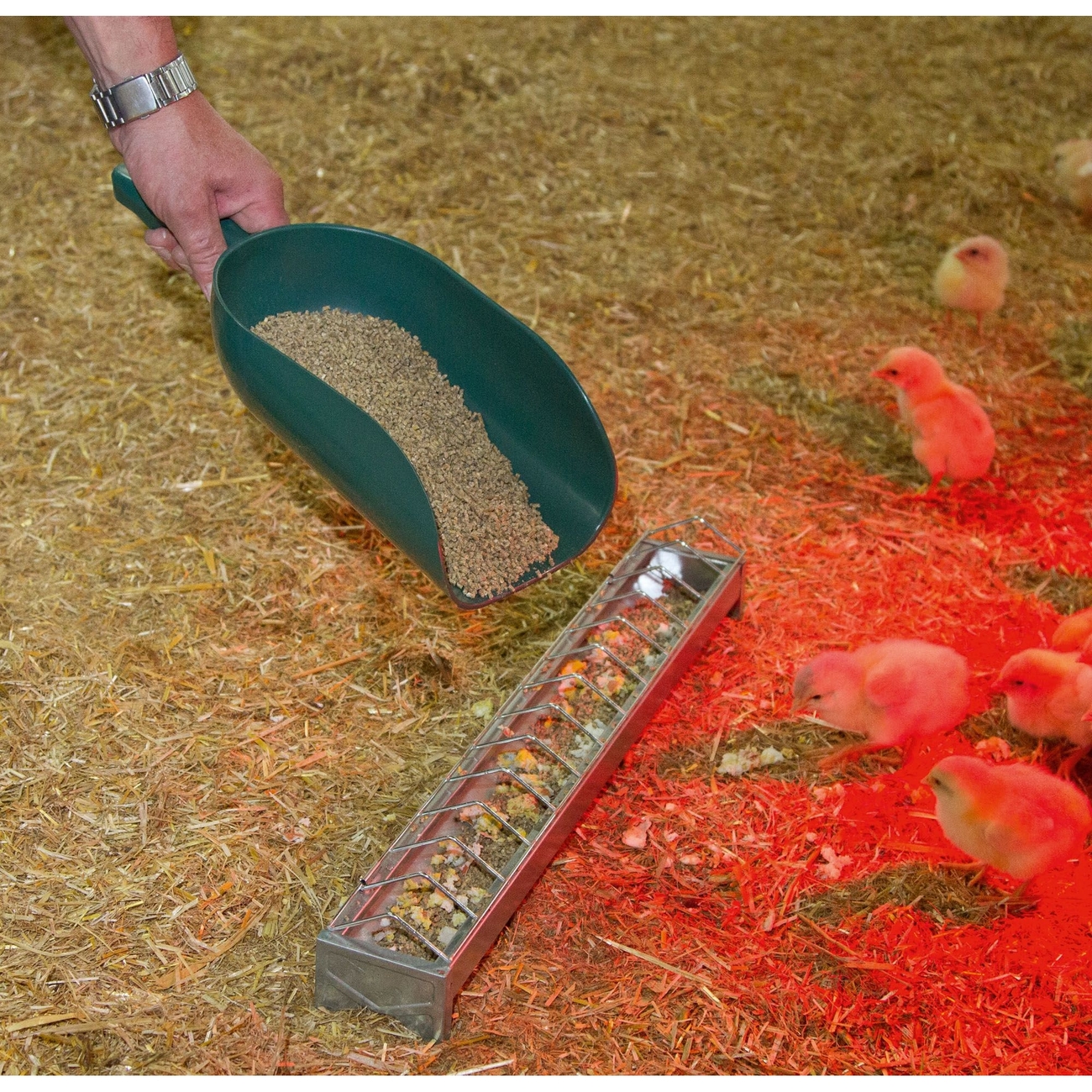 Kerbl Futterschaufel groß Bild 2