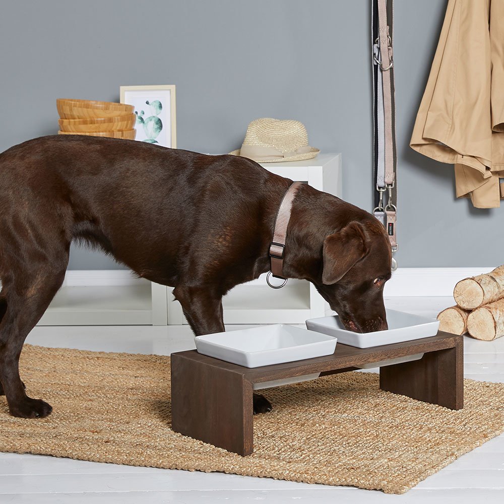 Futterstation Meshidai True Doppelnapf Bild 2