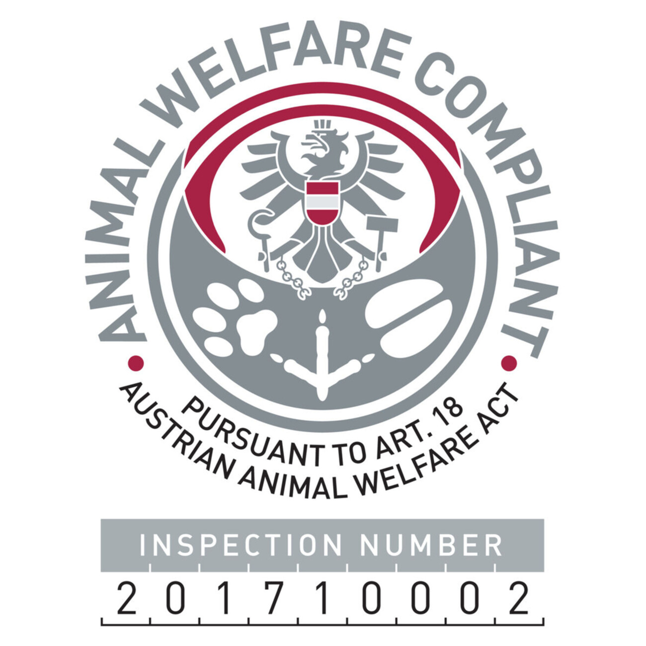 Dog Activity Strategiespiel Poker Box 2 für Hunde Bild 11