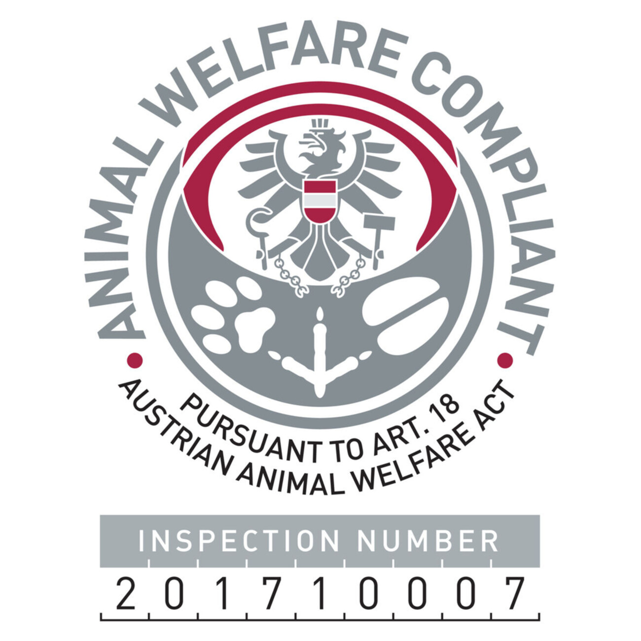 Dog Activity Strategiespiel Turn Around für Hunde Bild 4