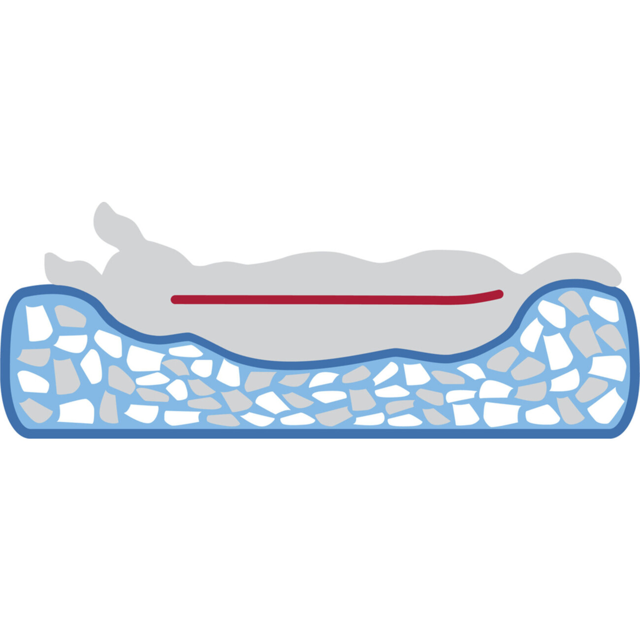 Orthopädisches Hundebett Vitalbett Jonna aus Cordplüsch Bild 6