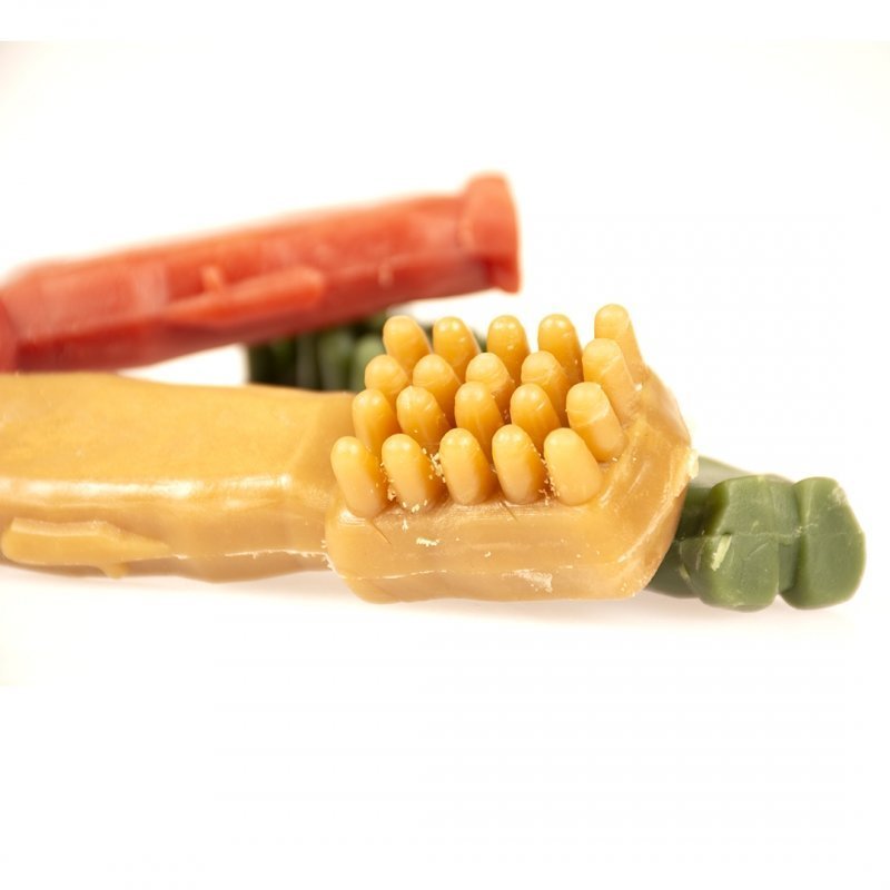 Garden Bites Toby Toothbrush Bild 3