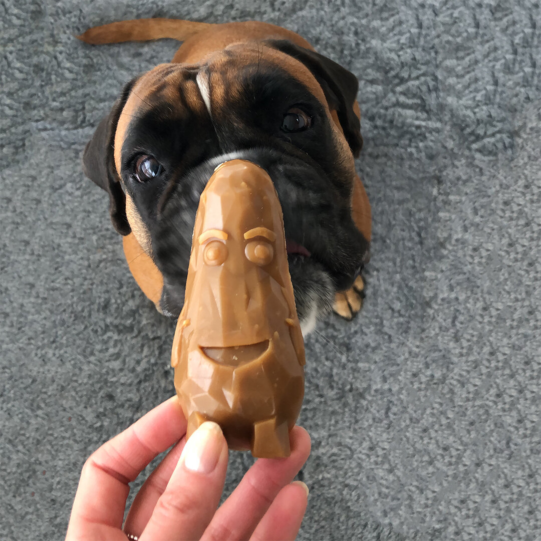 Garden Bites Veggie Friends Bild 3