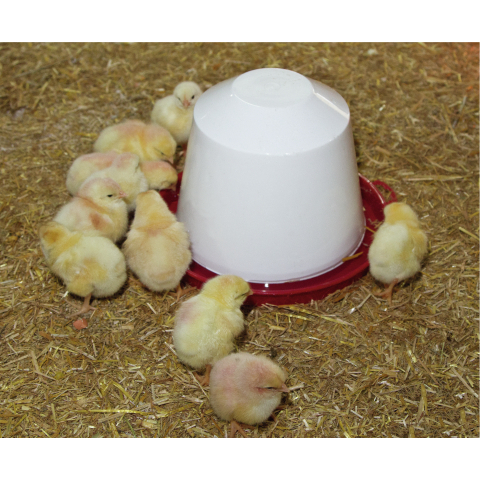 Geflügeltränke aus Kunststoff Bild 6