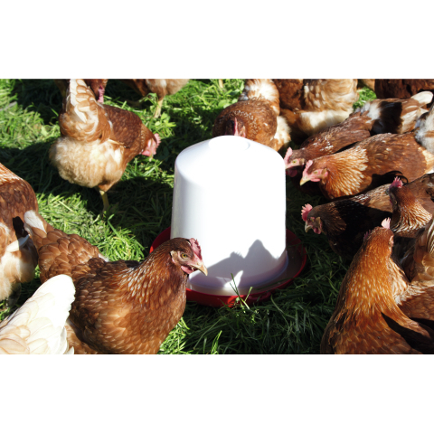 Geflügeltränke aus Kunststoff Bild 5