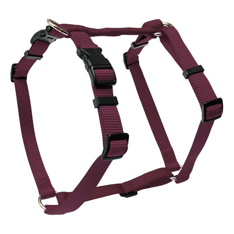 Wolters Hundegeschirr Basic Bild 5