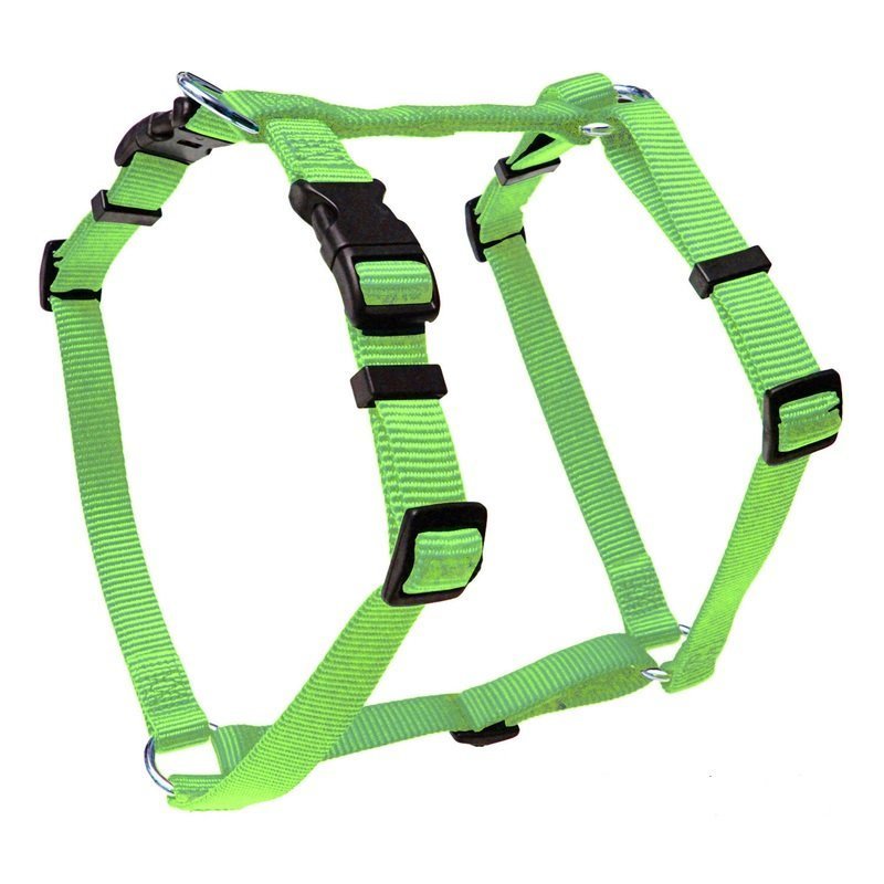 Wolters Hundegeschirr Basic Bild 7