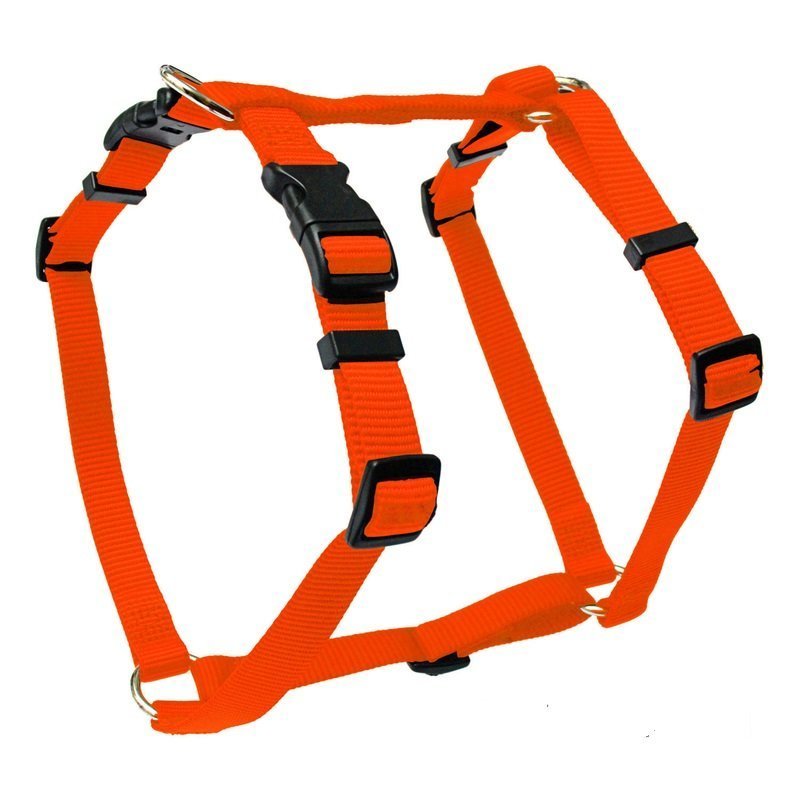 Wolters Hundegeschirr Basic Bild 10