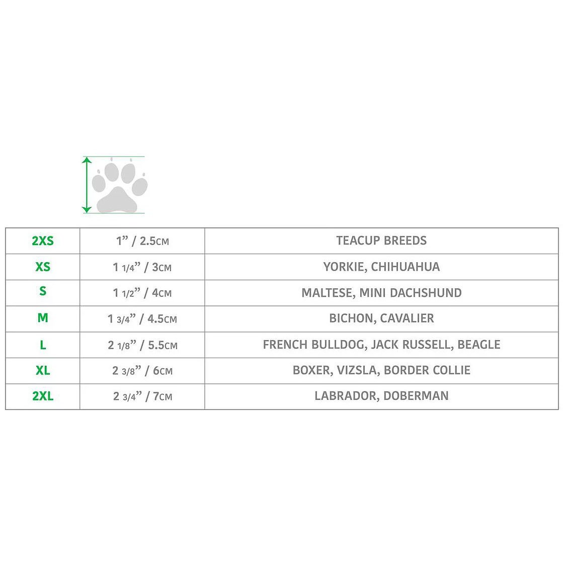 GF Pet Booties Pfotenschutz für Hunde Bild 3