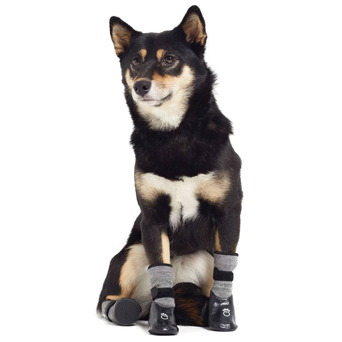 GF Pet Booties Pfotenschutz für Hunde Bild 2