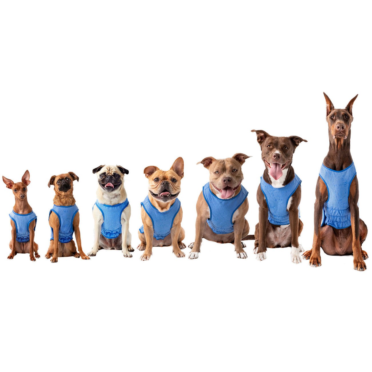 GF Pet ELASTOFIT® Kühlweste für Hunde Bild 2