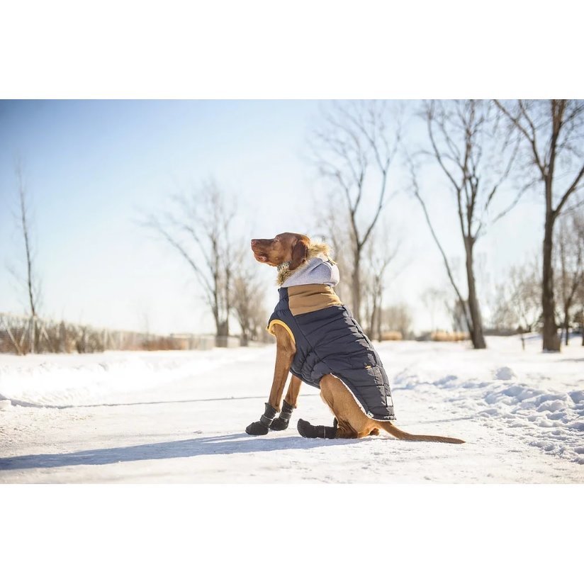GF Pet Hundeparka Lodge Bild 4