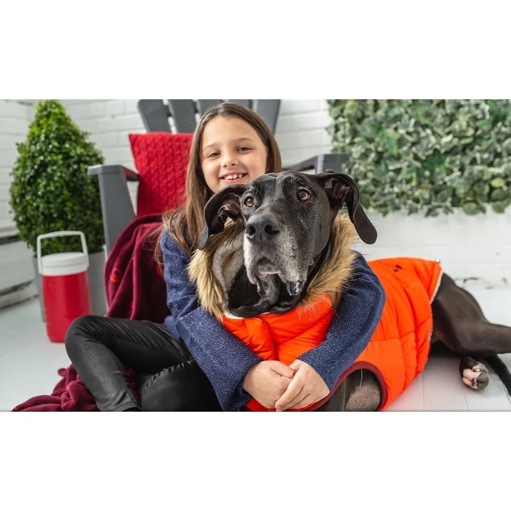 GF Pet Hundeparka Lodge Bild 12