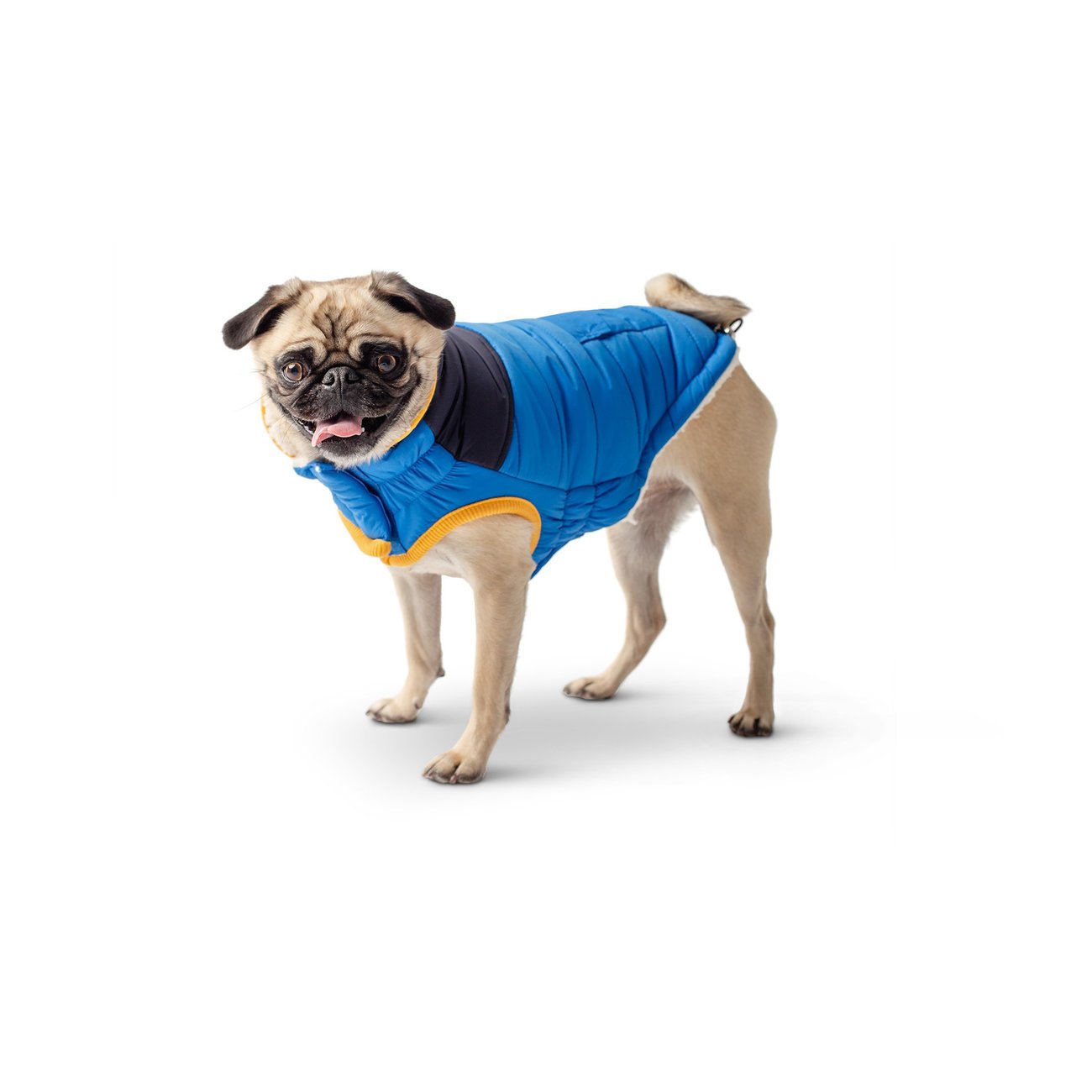 GF Pet Scout Jacke für Hunde Bild 5