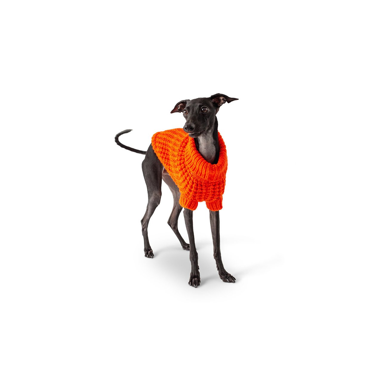 GF Pet Scout Sweater für Hunde Bild 6