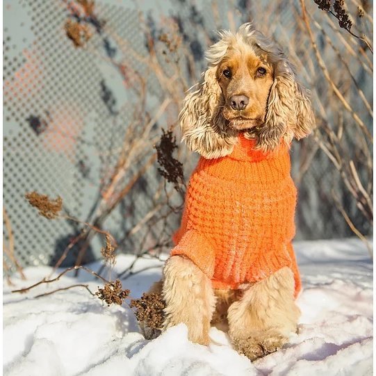 GF Pet Scout Sweater für Hunde Bild 7