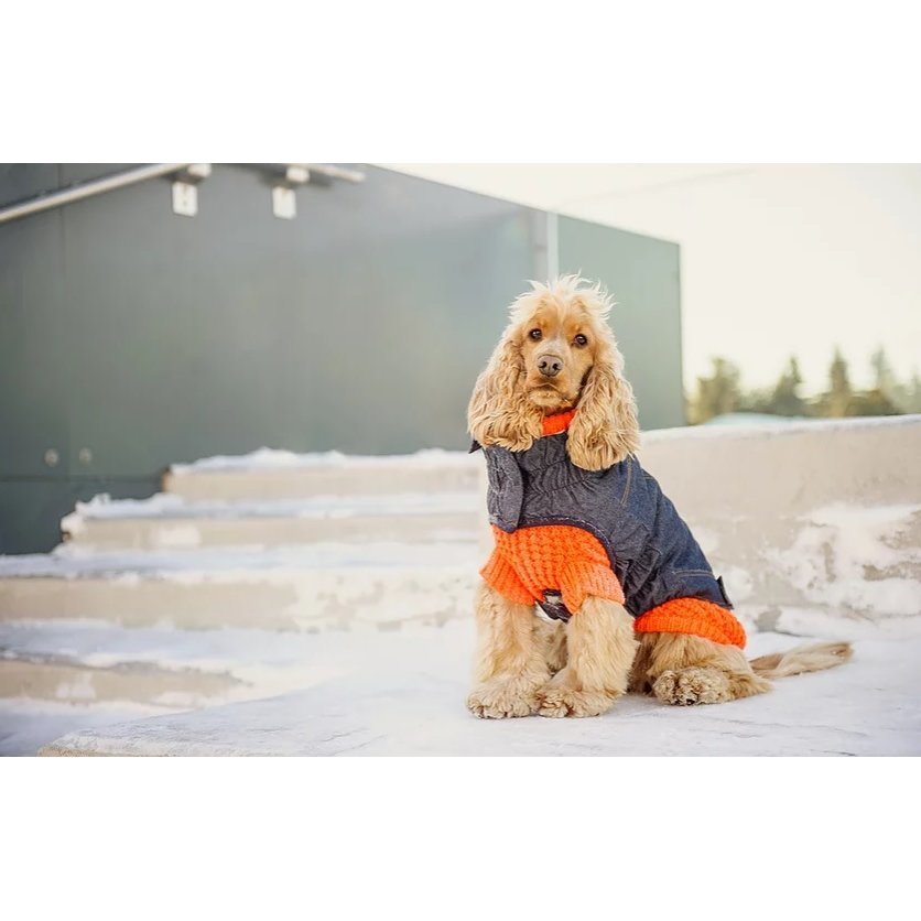 GF Pet Scout Sweater für Hunde Bild 8